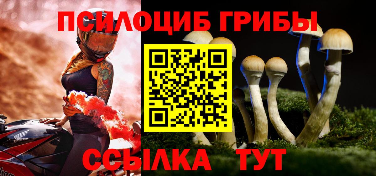 Псилоцибиновые грибы Psilocybine cubensis Темрюк